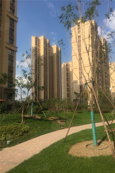 哈尔滨富力城-实景图(21) - 哈尔滨安居客