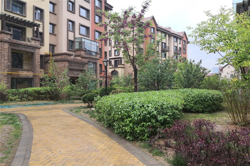 西宁萨尔斯堡-实景图(26) - 西宁安居客