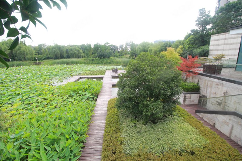 南京富力十号往来-实景图(11) - 南京安居客