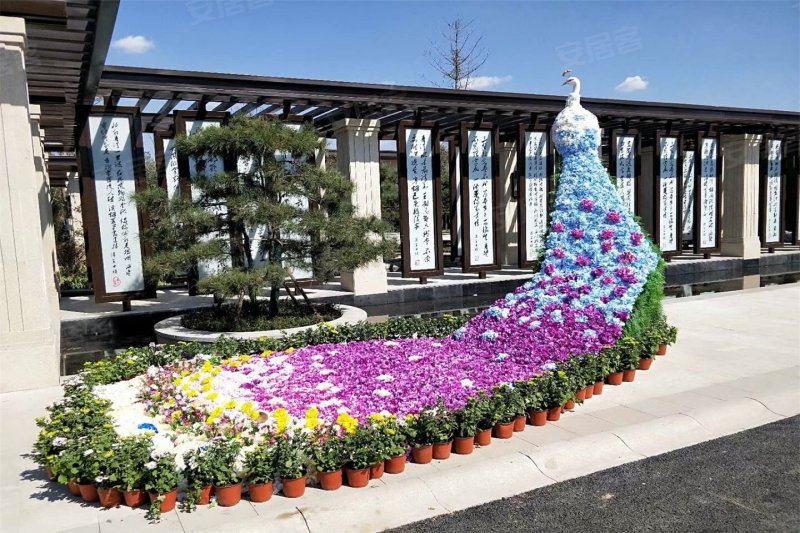 淄博楼盘 桓台县楼盘 桓台楼盘 东方紫郡