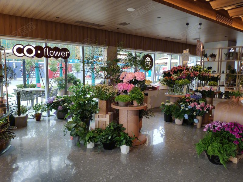 四季都会晓风来