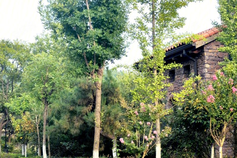 济南安居客>济南楼盘>长清楼盘>康桥圣菲>楼盘现场环境15/ 75列表模式