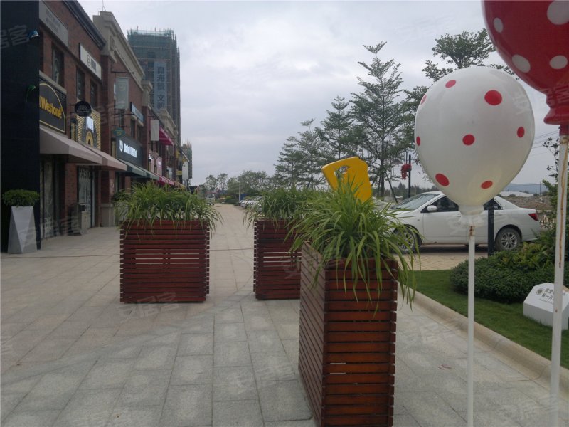 汕尾碧桂园·华附凤凰城-实景图(38) - 汕尾安居客