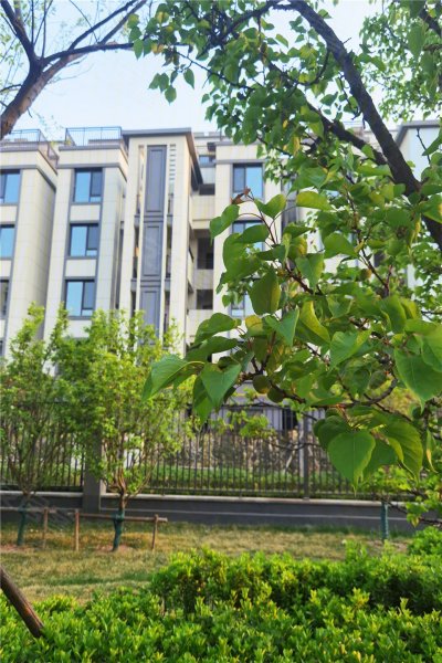 济南安居客>济南楼盘>章丘楼盘>海信泮山>楼盘现场环境5/ 103列表模式