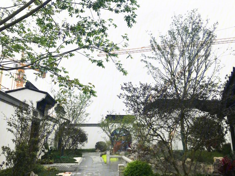 成都蜀道蓝城桃李春风-实景图(7) - 成都安居客