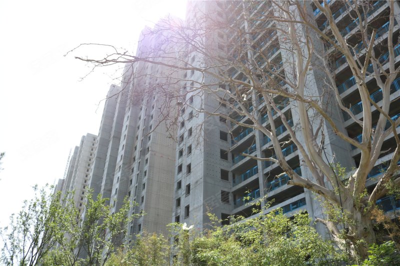 淄博福园-实景图(9) - 淄博安居客