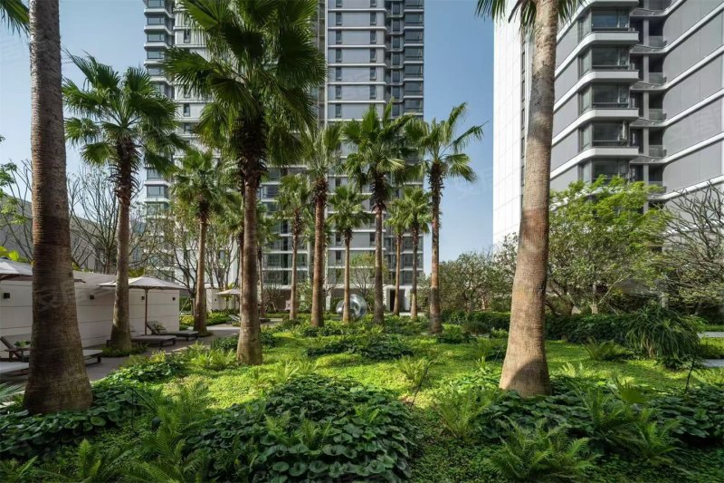 厦门湿地公园TOD璞瑞-效果图(49) - 厦门安居客