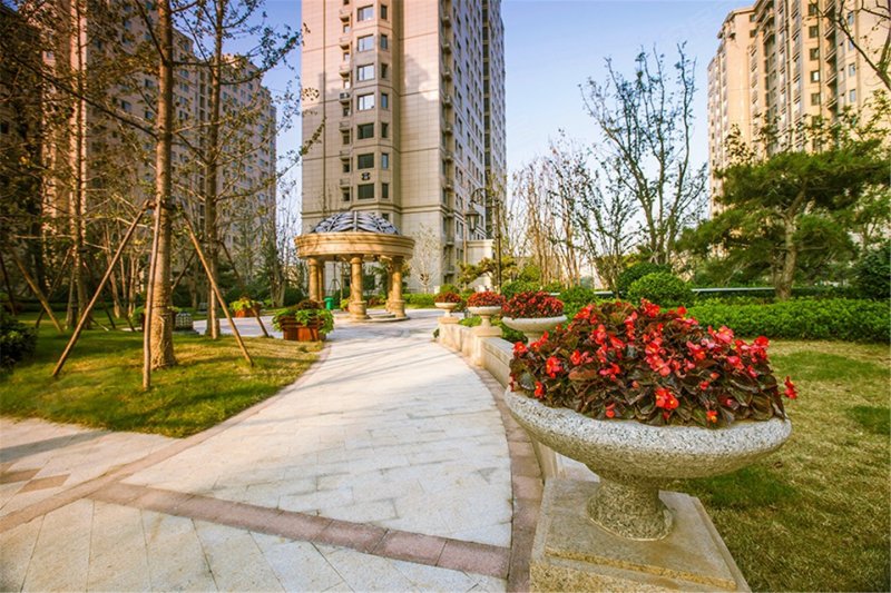 淄博棠悦-实景图(52) - 淄博安居客