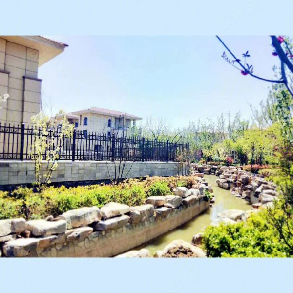 聊城金柱千岛山庄-实景图(6) - 聊城安居客