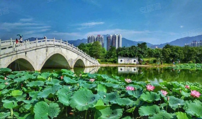 清远中恒花园-配套图(39) - 清远安居客