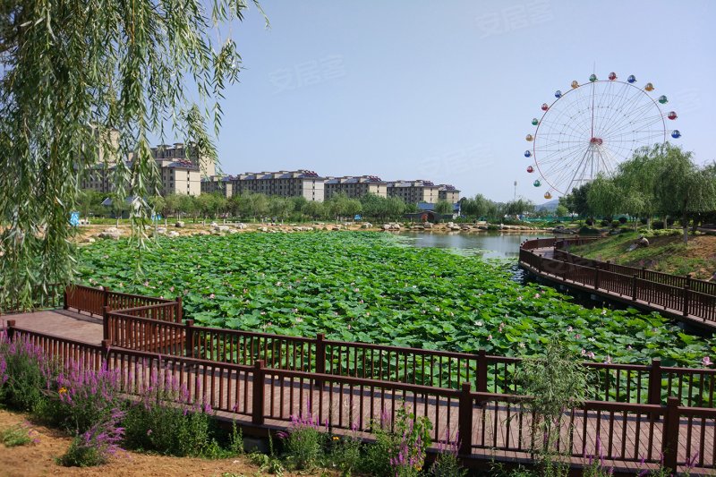 秦皇岛紫金湾·荣御-配套图(124) - 秦皇岛安居客