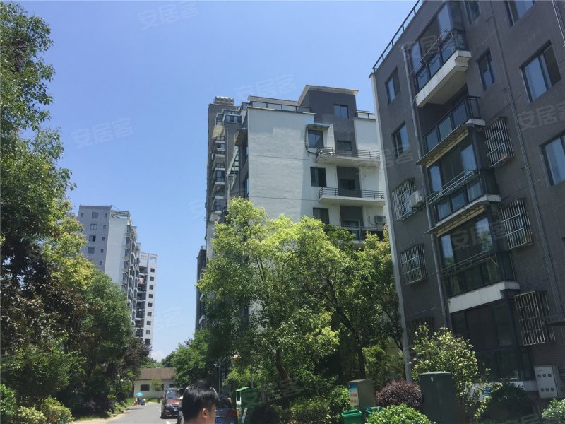 黄山江南一品-实景图(3) - 黄山安居客