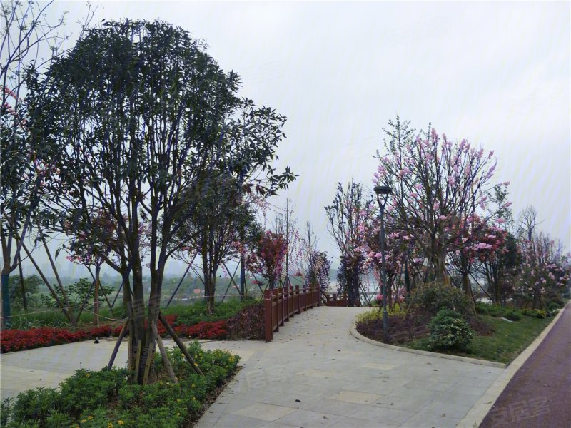 乐山明星中央公园-配套图(70) - 乐山安居客