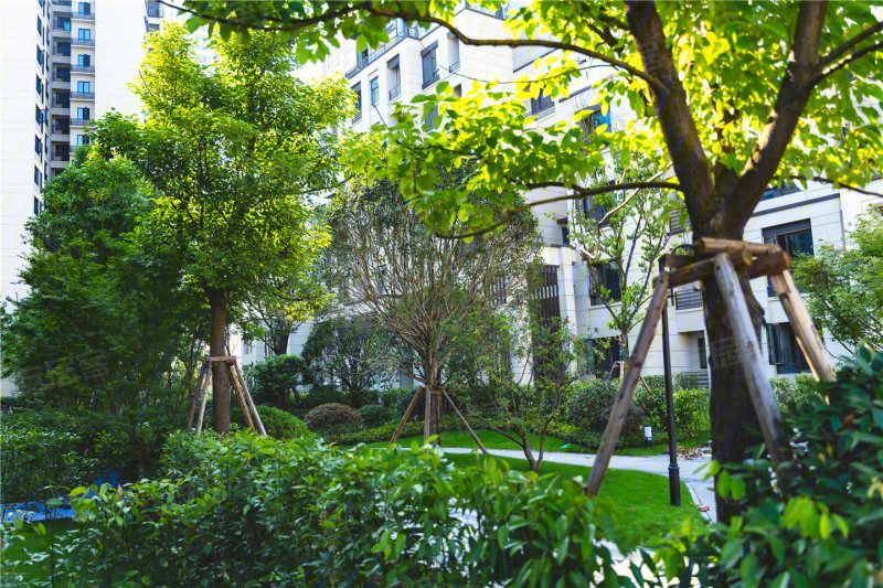 中建南宸玖樾实景图