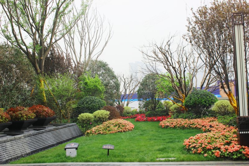 宸翠箤鍚夌ゥ涔嬮煶鏇茶_金科博翠宸章航拍图(2)