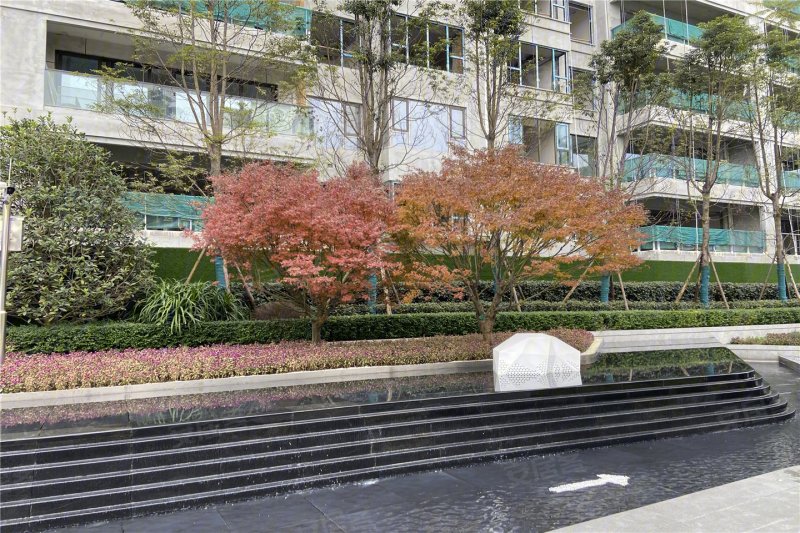 成都城投置地梧桐集-实景图(8) - 成都安居客