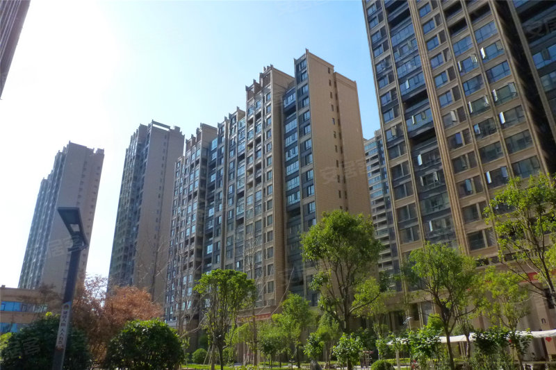 项城市坤禧天安郡-实景图(12 项城市安居客