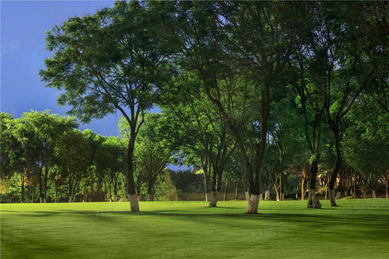 中交中央公园配套图