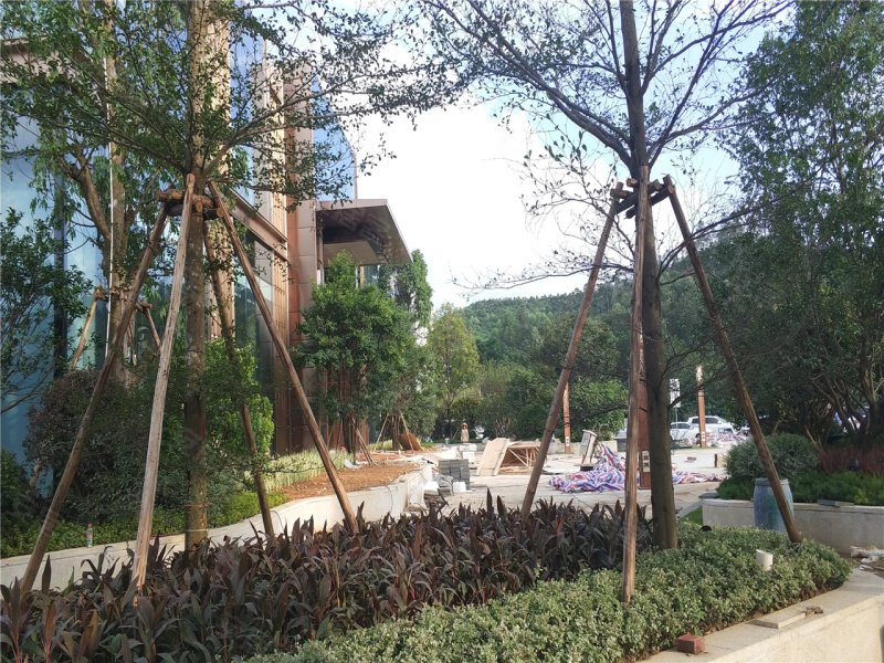 清远鼎峰尚境-实景图(6) - 清远安居客