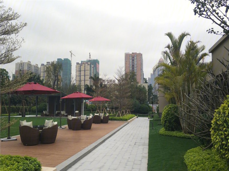 清远新力龙湾-实景图(4) - 清远安居客