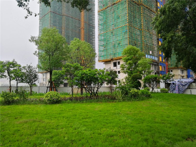 漳州天玺99湾-实景图(15) - 漳州安居客