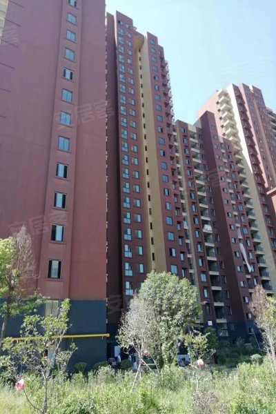 驻马店金都花园-实景图(15) - 驻马店安居客
