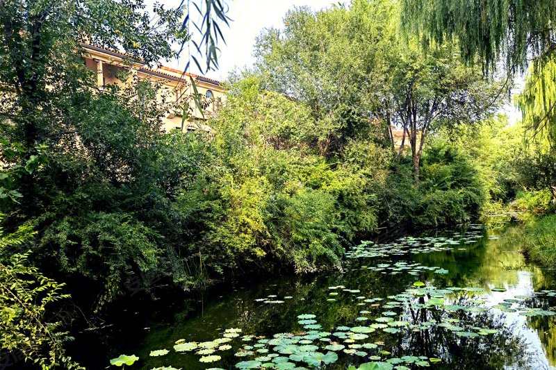 济南安居客>济南楼盘>长清楼盘>康桥圣菲>楼盘现场环境8/ 75列表模式