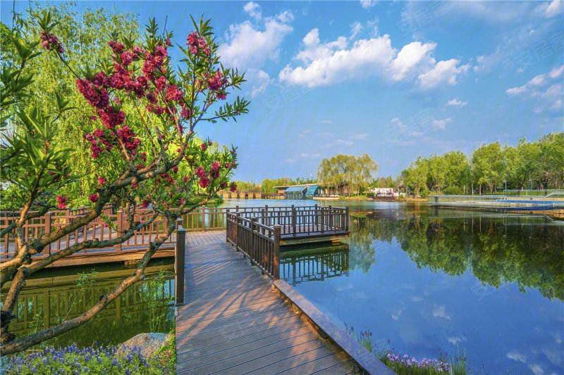 龙湾别墅·棠尚效果图