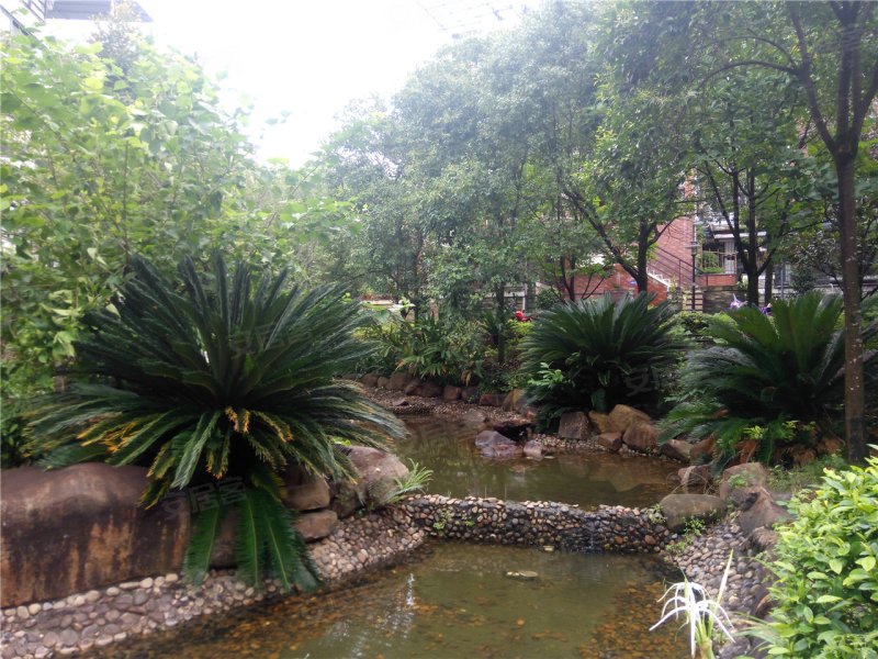 南平山水华庭-实景图(8) - 南平安居客