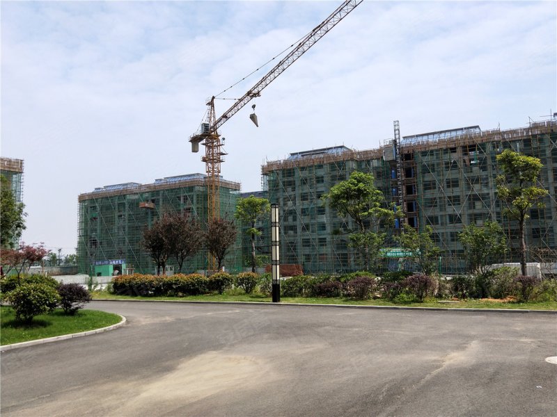 铜陵名流栖凤名城-实景图(16) - 铜陵安居客