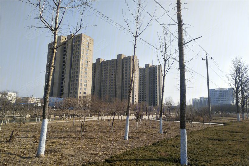 潍坊揽月湾-实景图(3) - 潍坊安居客