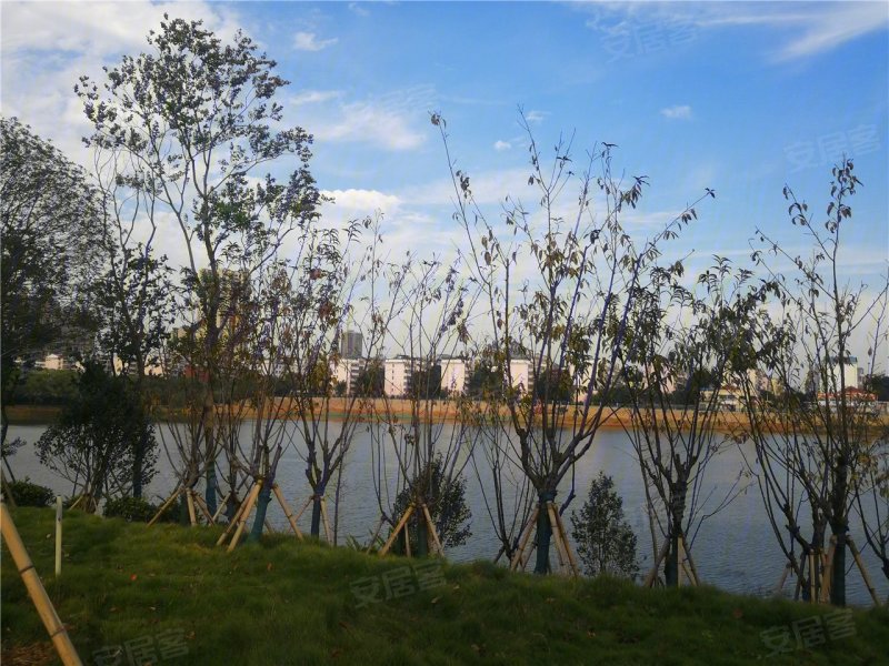 岳阳南湖领域-实景图(17) - 岳阳安居客