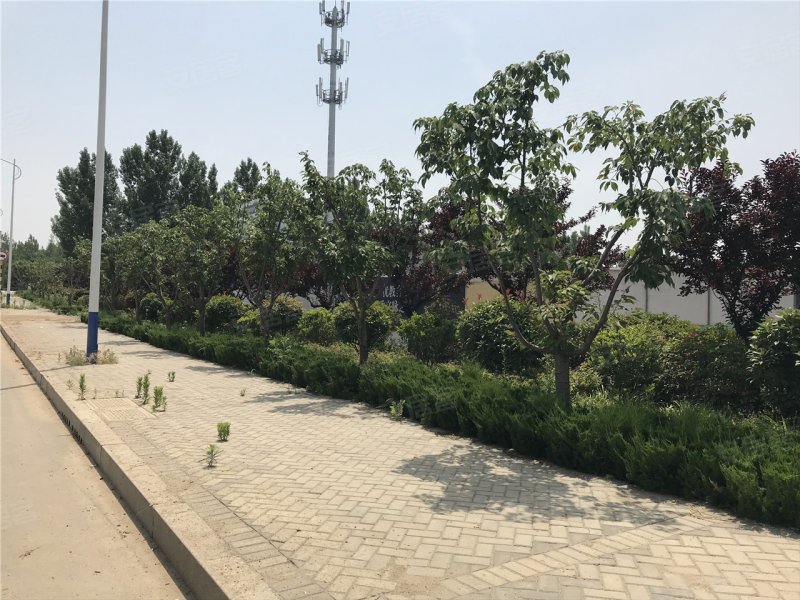 临沂书香世家-实景图(21) - 临沂安居客