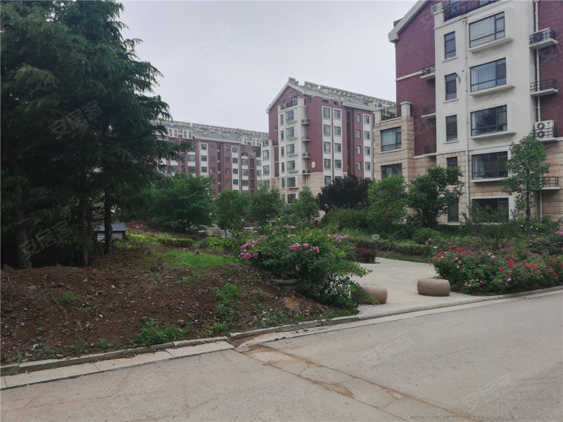 潍坊楼盘 安丘市楼盘 青云郡