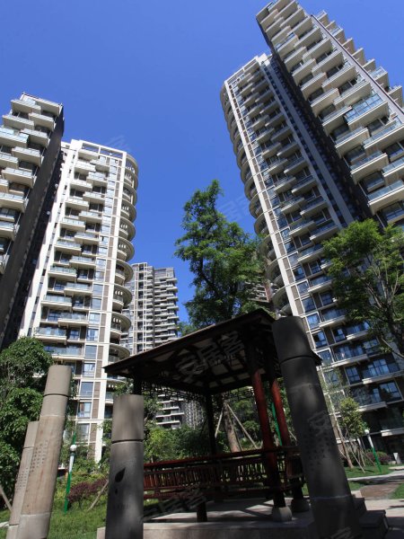 成都红树湾-实景图(43) - 成都安居客