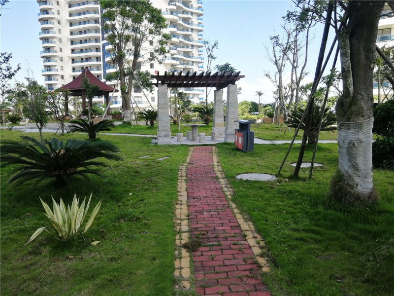 漳州楼盘 东山县楼盘 康美楼盘 君悦金銮湾