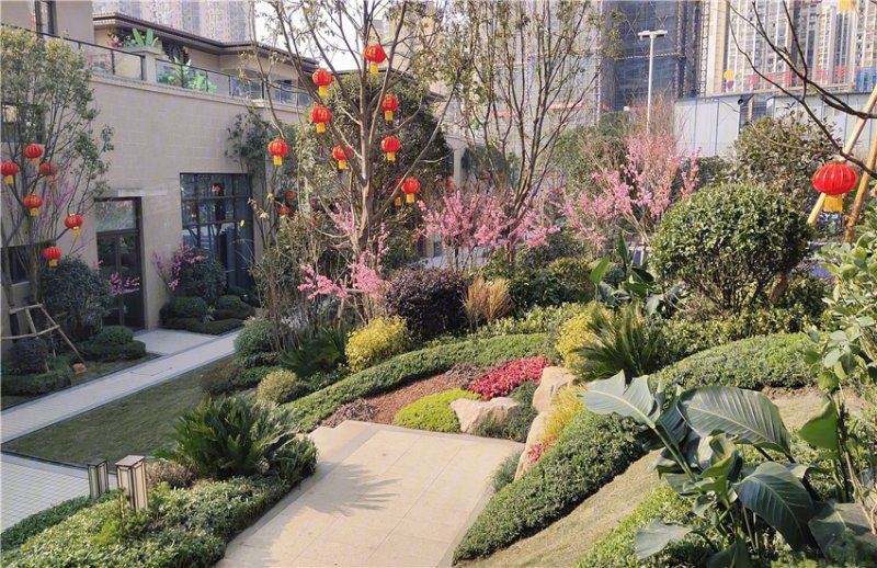 广元苍溪碧桂园-实景图(13) - 广元安居客