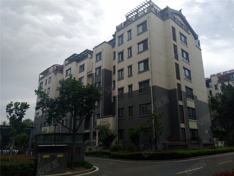 肥城紫荆城-实景图(16) - 肥城安居客