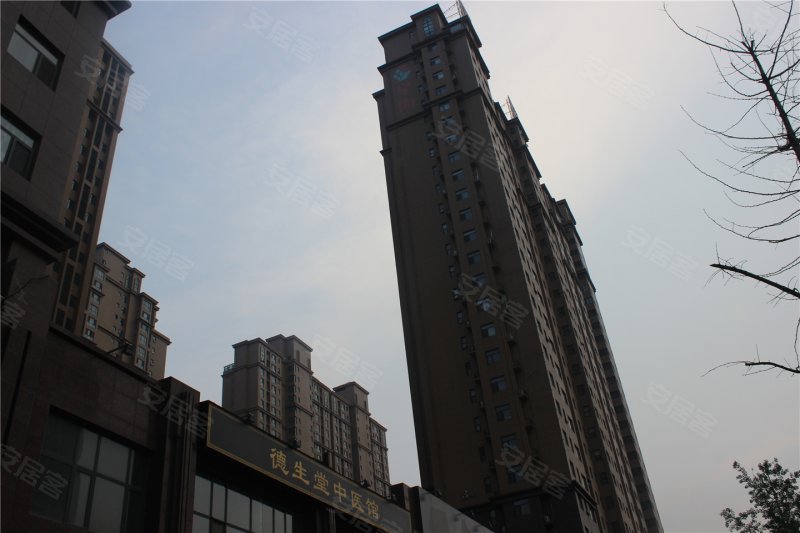 新乡星海国际-实景图(12) - 新乡安居客
