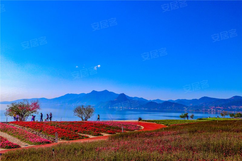 抚仙湖广龙小镇