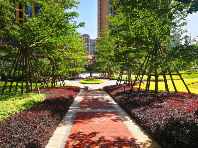 漳州楼盘 龙海市楼盘 港尾楼盘 融信半山云顶