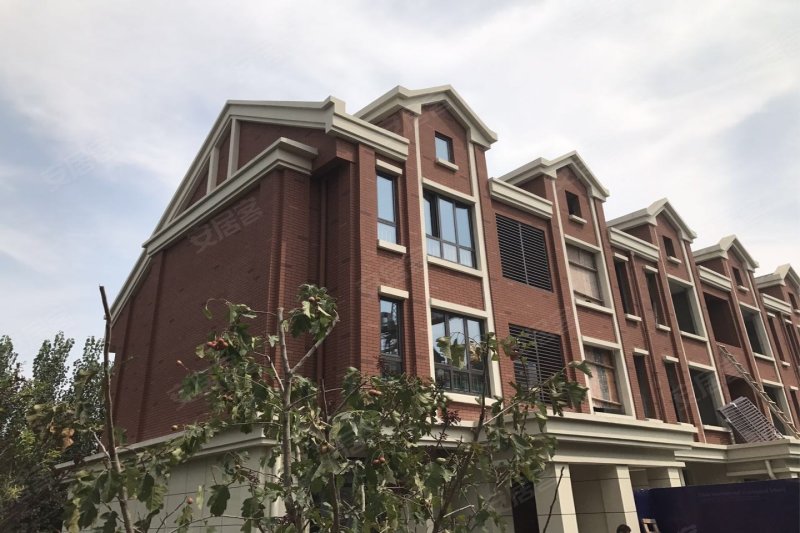 亿利国际生态岛