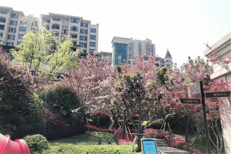 万州金科观天下