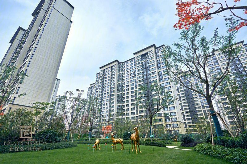 南京新保弘领东苑-实景图(1) - 南京安居客