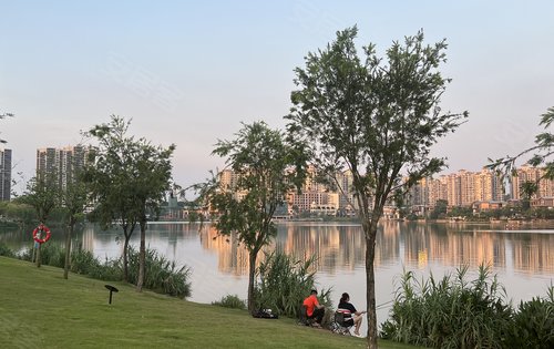 美林湖湖岸公园的一幕下班后的悠闲湖边生活