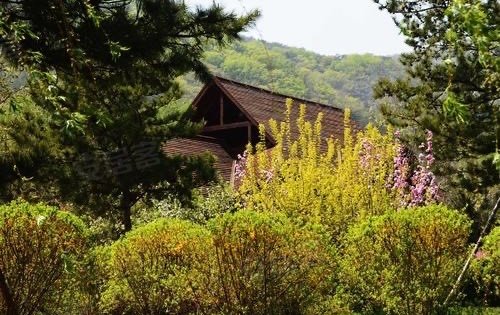 大连碧桂园熙山郡图片