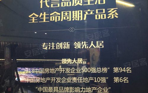 品牌开发商实力打造湾区综合体
