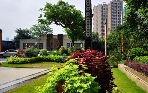 小区大门,小区内绿化