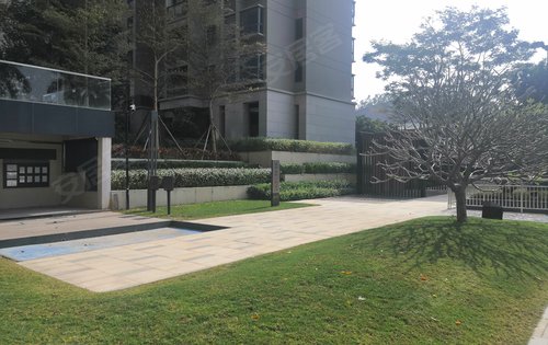早上好春节不打烊新力君悦湾品质美宅等你来新力祝您牛年快乐心想事成