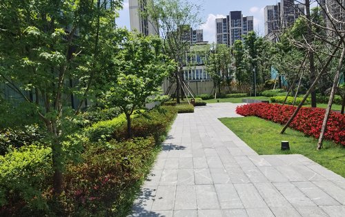 城投置地梧桐栖动态:小区绿化好,楼间距开阔-成都安居客